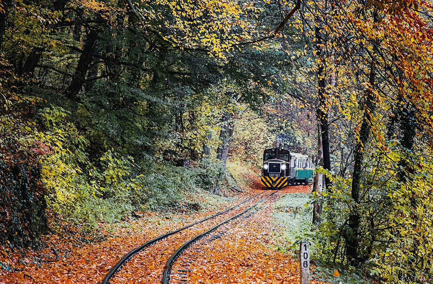 horizontal photo of train tracks through fall trees, with leaves on the ground and a train approaching from the distance