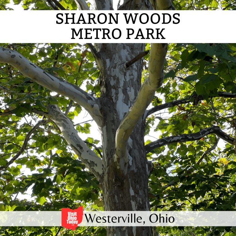 Sharon Woods Metro Park