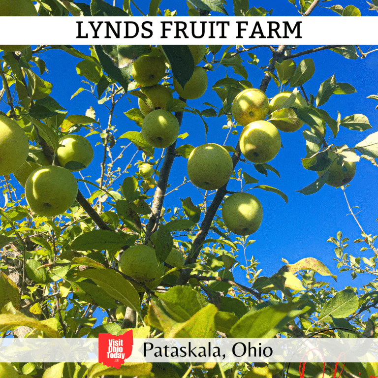 Lynds Fruit Farm