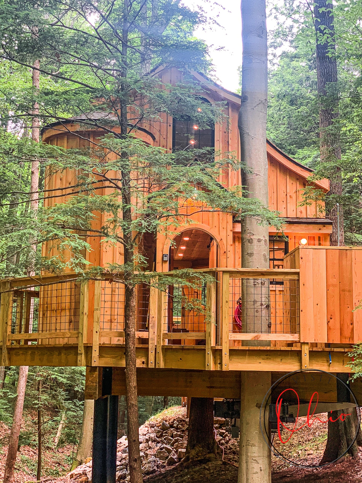 Wooden large treehouse among tall healthy trees with green leaves 