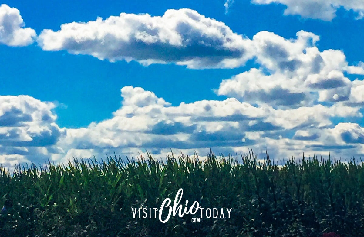 corn field and bright blue sky with big clouds Photo credit: Cindy Gordon of VisitOhioToday.com