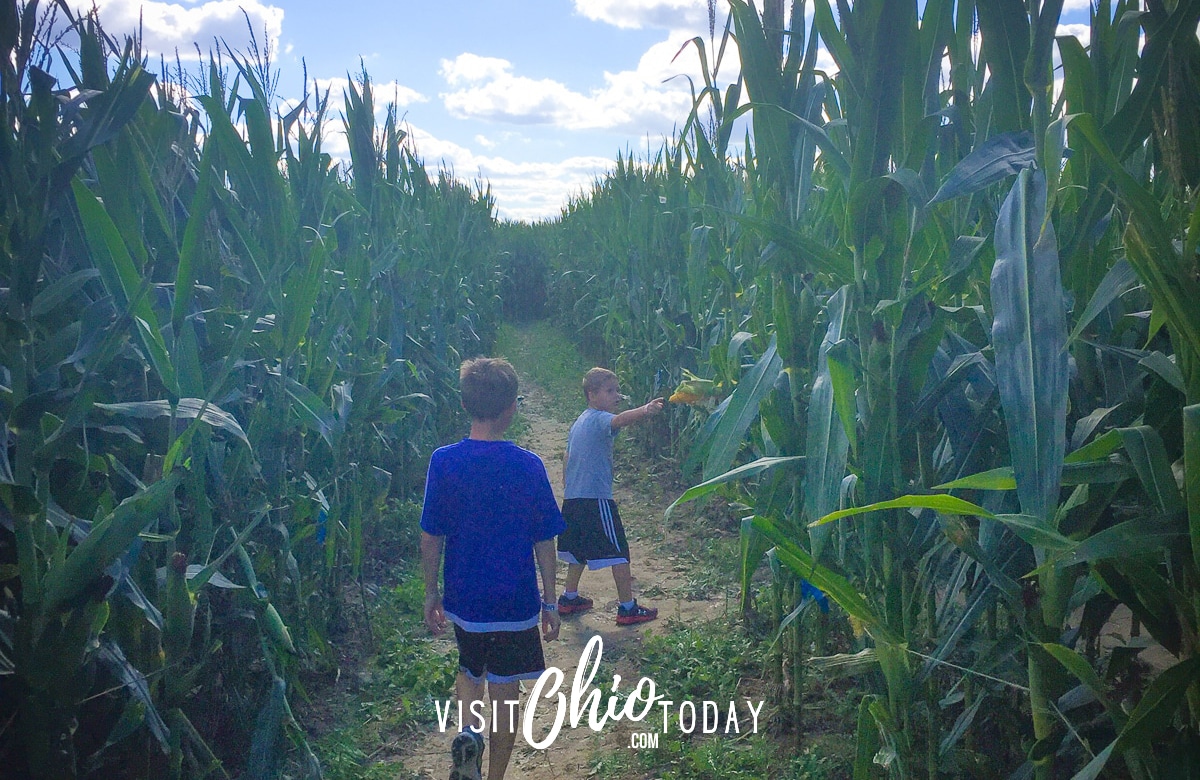 two kids running down a corn maze row Photo credit: Cindy Gordon of VisitOhioToday.com