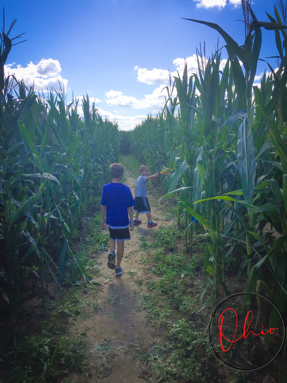 two kids running down a corn maze roew