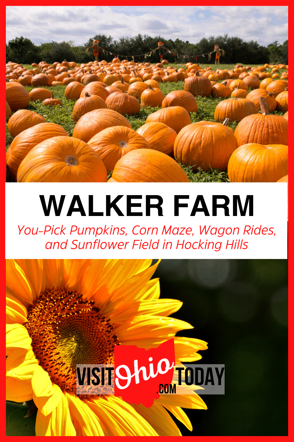 Walker Farm is a family farm that is open to the public in the fall. Get your pumpkins, gourds, and fall decor from this Hocking Hills farm.