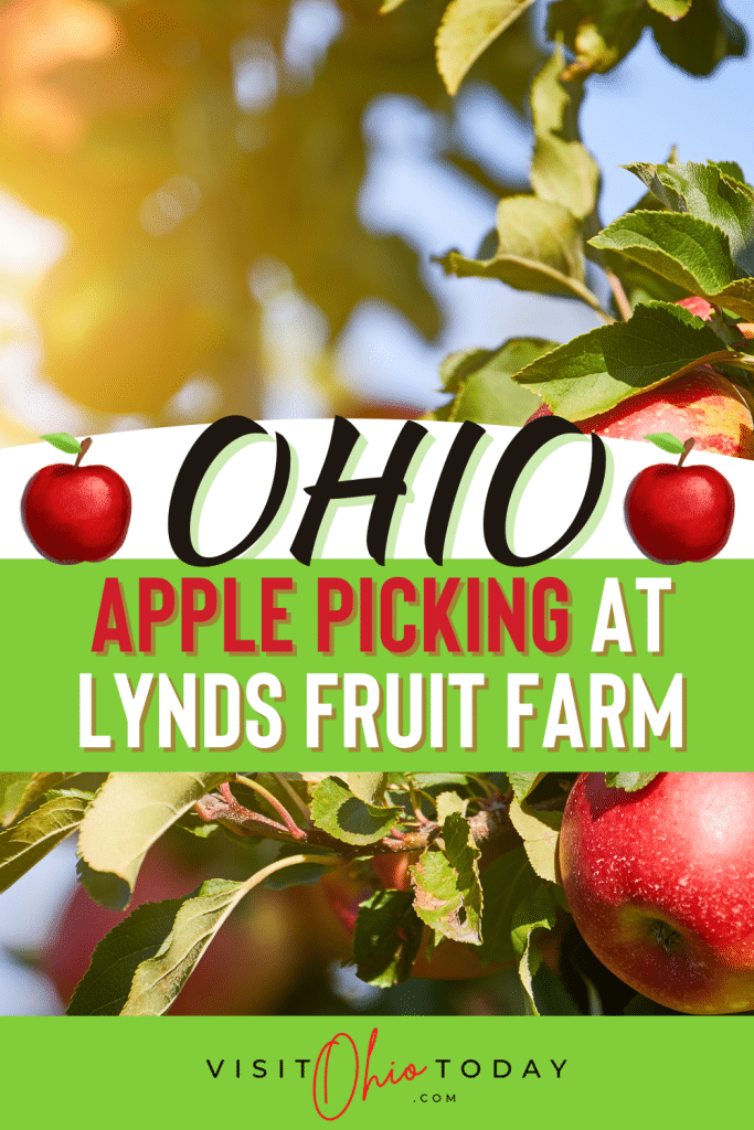 apple tree branch with red apples and sun peaking through the leaves, text says: ohio apple picking at lynds fruit farm Photo credit: Cindy Gordon of VisitOhioToday.com