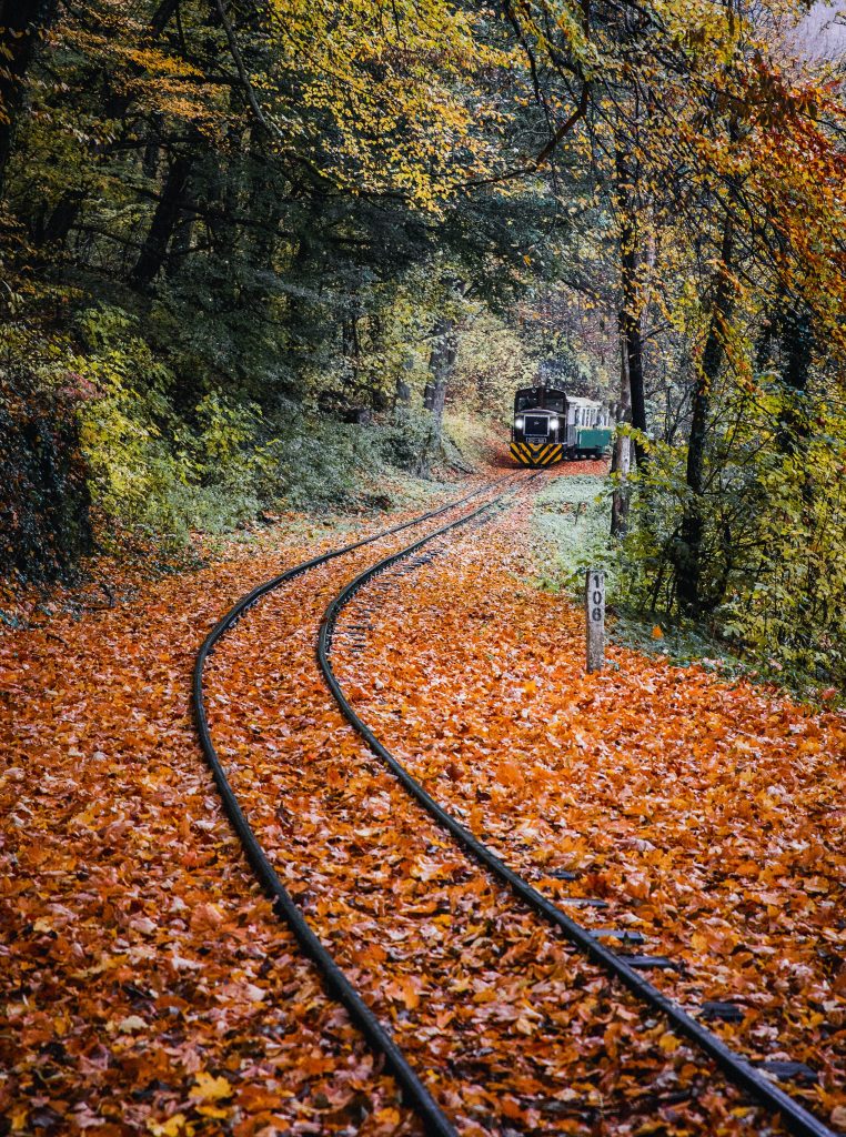 fall colored leaves on black railway and train coming toward camerea but off quit a ways