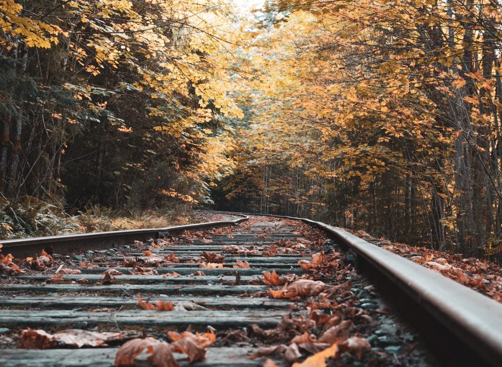 fall color leaves on ground, train track and trees. Leave look crunchy and old. Steel railroad track with wooden beams