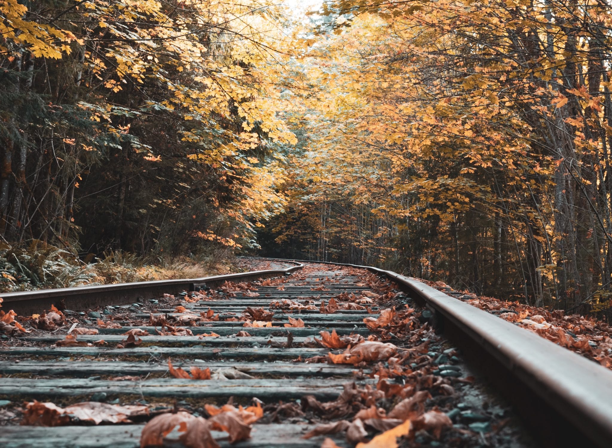 Train Rides In Ohio 2024 For All Ages Visit Ohio Today   Pexels Vladislav Vasnetsov 1448899 2048x1498 