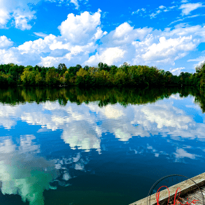 picture of blue cloudy sky and a reflection of that in water. Trees far across the water in back ground