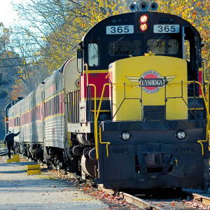 train rides in ohio yellow and black train on track