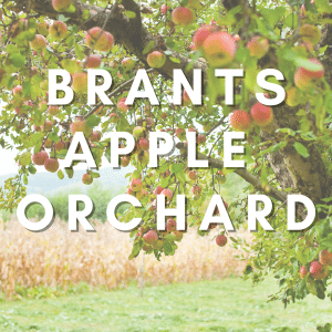 Photo of an apple orchard with a text overlay which says Brants Apple Orchard