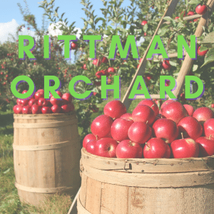 Photo of two barrels full of red apples. Between the barrels there is a ladder leading up towards an apple tree. Text overlay saying Rittman Orchard