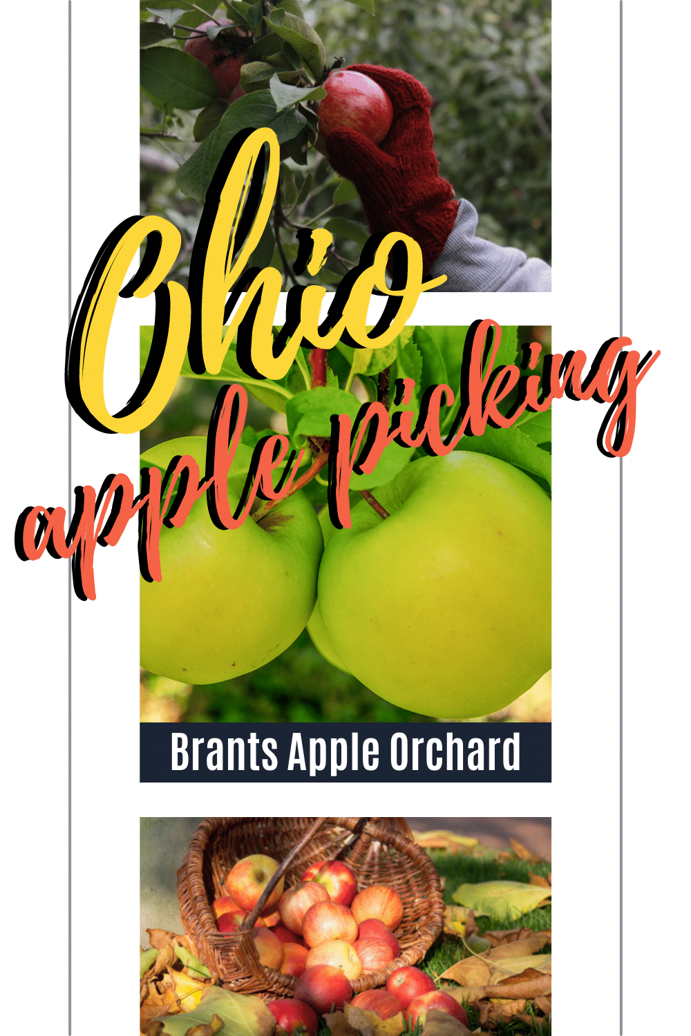 Brants Apple Orchard is a popular you pick farm in Northeast Ohio. They offer a huge selection of apples, Asian pears and table grapes. Brants Apple Orchard also offers a farm market as well as fun activities during the season for the whole family. | Apple Orchard | Ohio Apples |