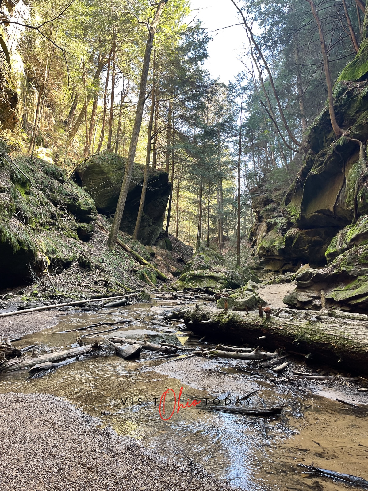 rocky wet gorge with water, moss and tall trees