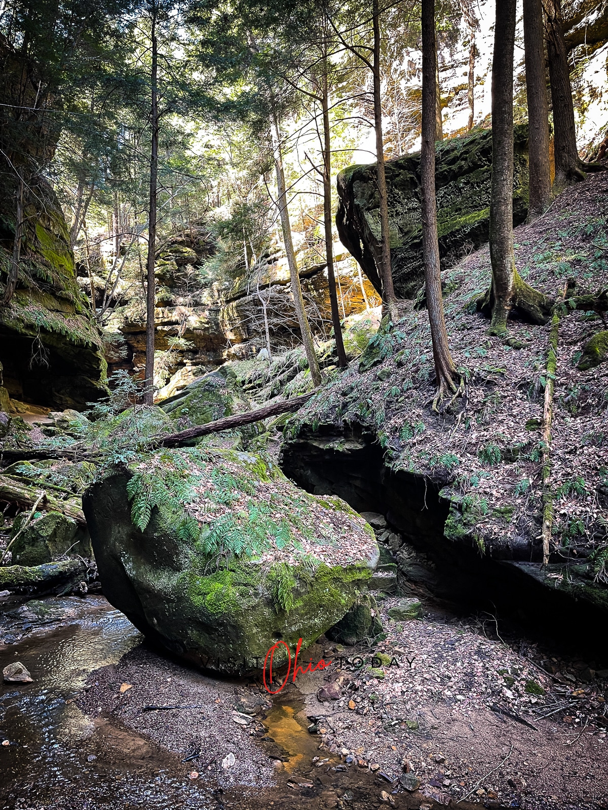 rocky gorge of conkles hollow with skinny trees