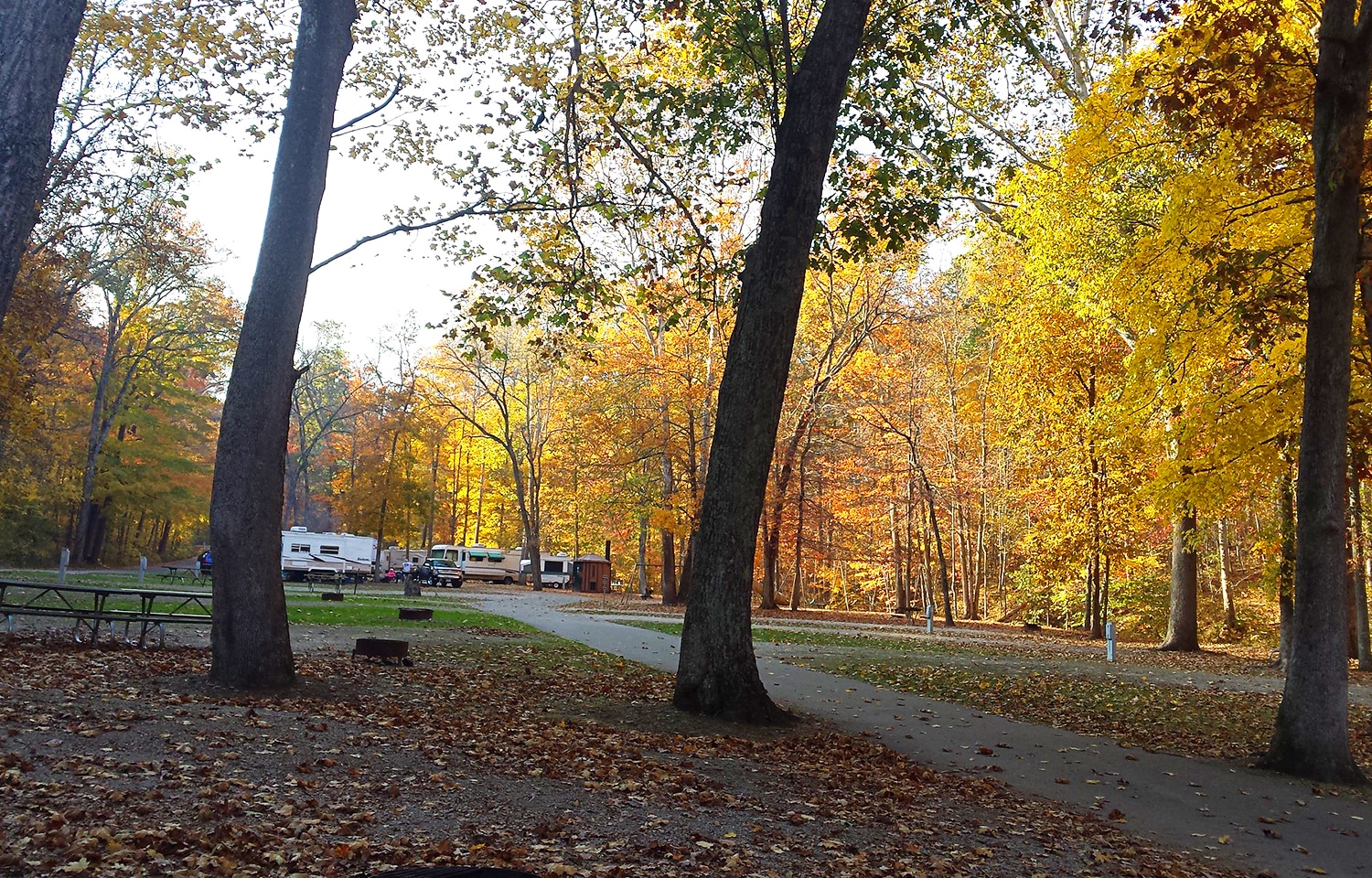 horizontal photo of the approach to the campground at Scioto Trail State Park
