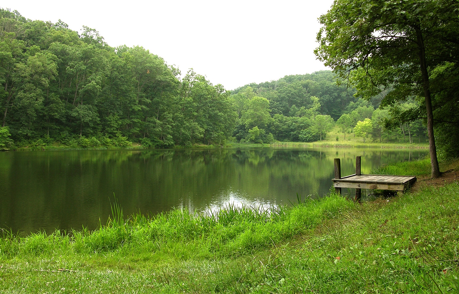 horizontal photo of Caldwell Lake with grass in the foreground and trees and foliage in the background