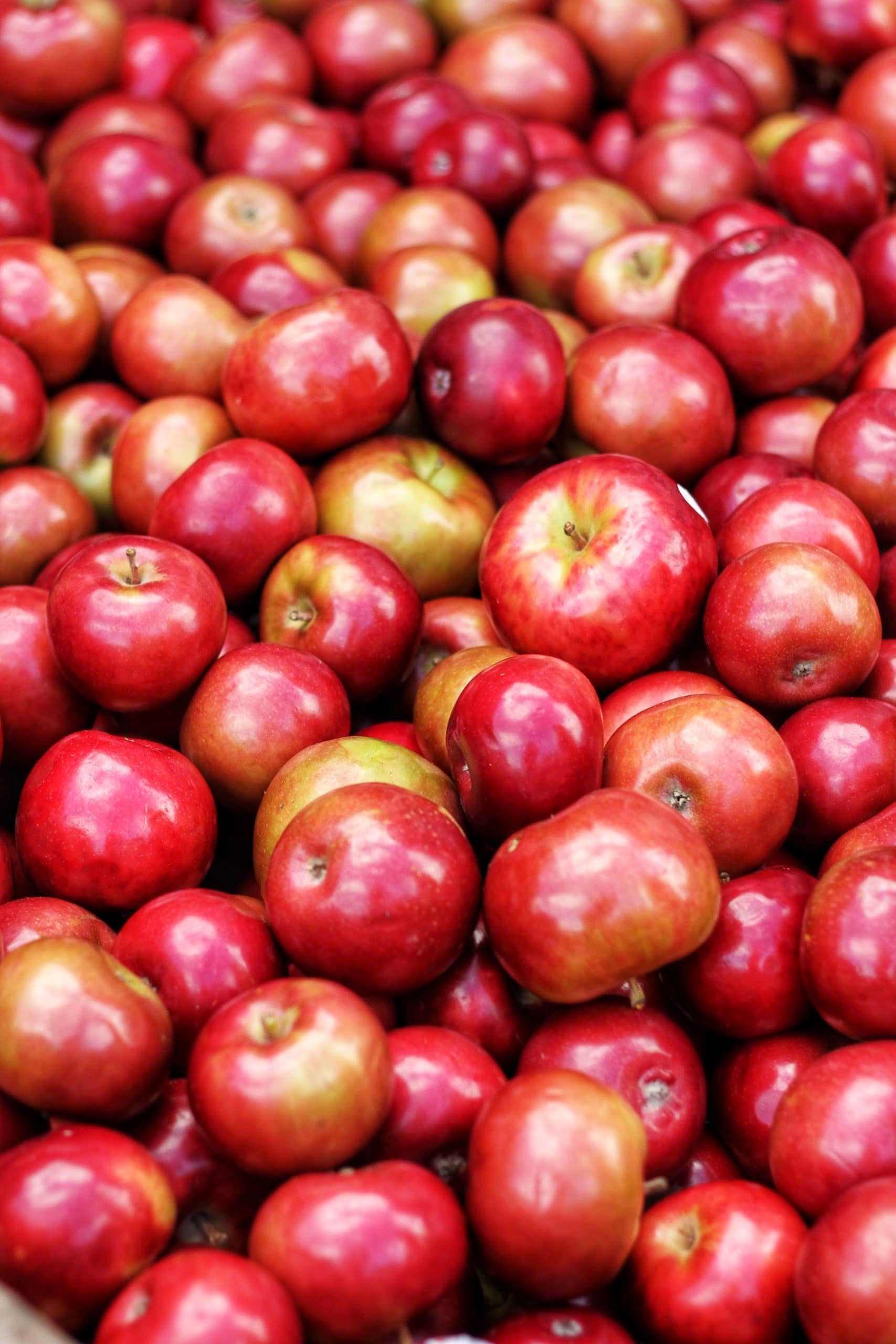 vertical photo of an upclose shot of hundreds of red apples. Image via Canva