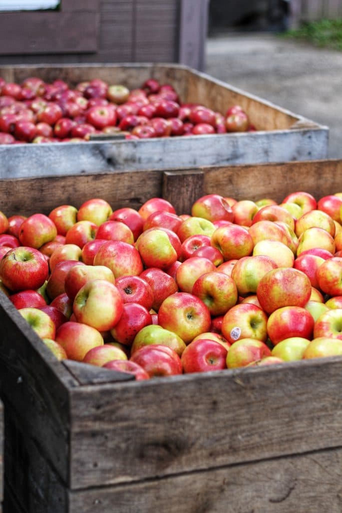 two wooden bins filled with red apples