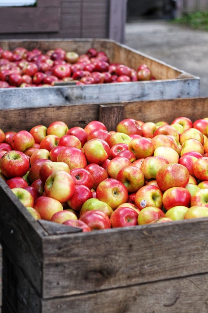 vertical photo of two wooden crates filled with red apples. Image via Canva