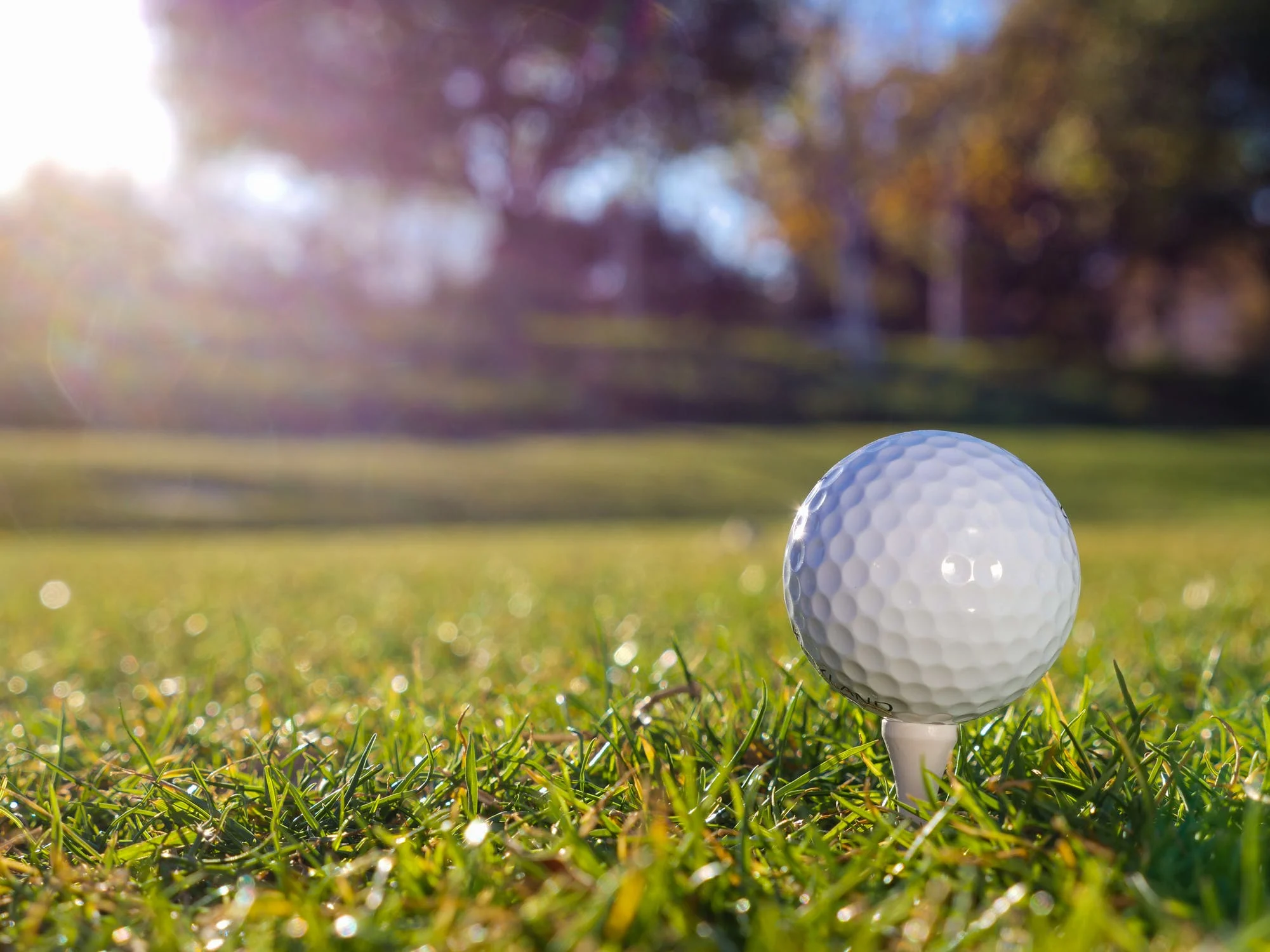 Close up photo of a golf tee with a white golf ball sat on top of it