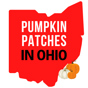 Pumpkin Patches in Ohio (Updated 2024)