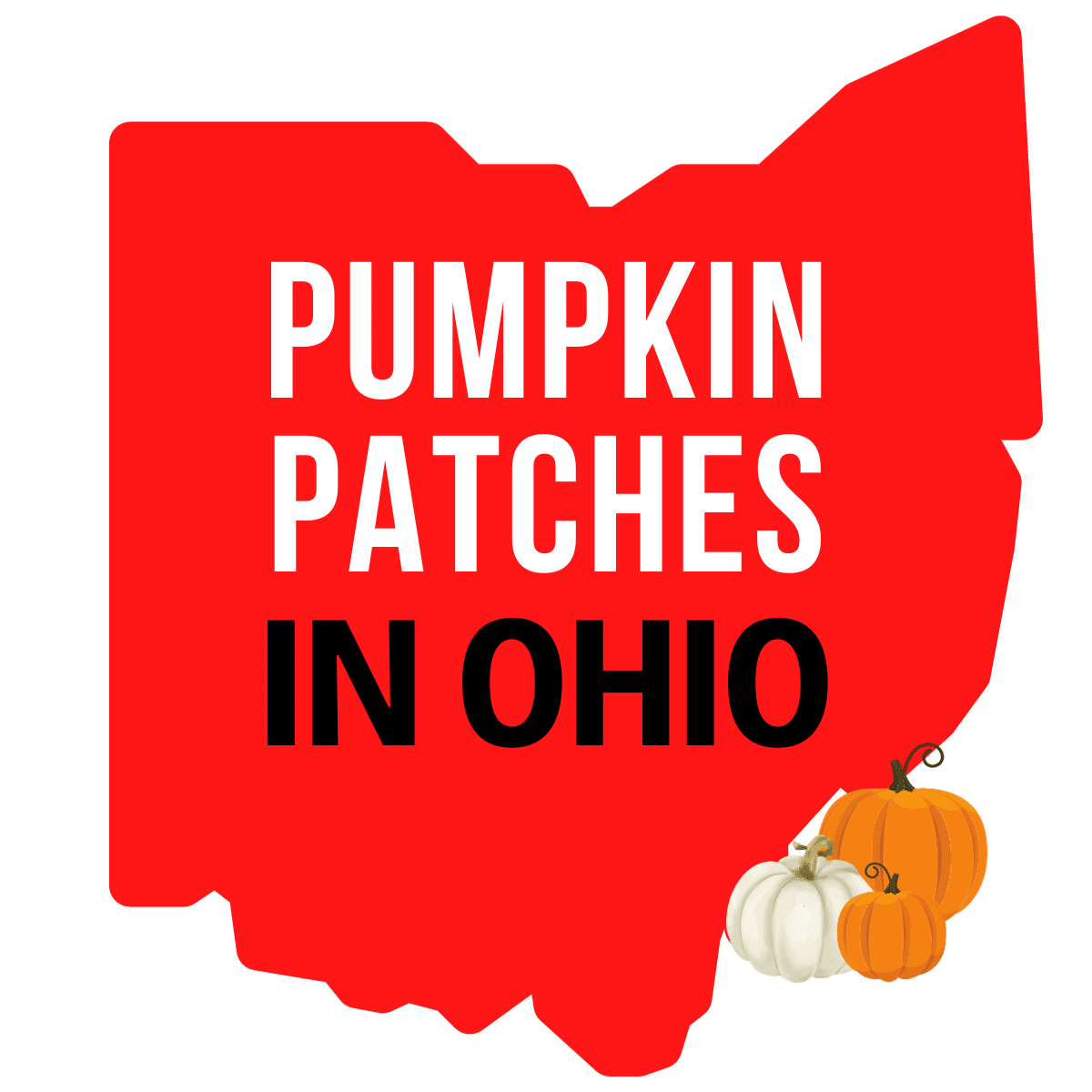 Pumpkin Patches in Ohio (Updated 2024) Visit Ohio Today