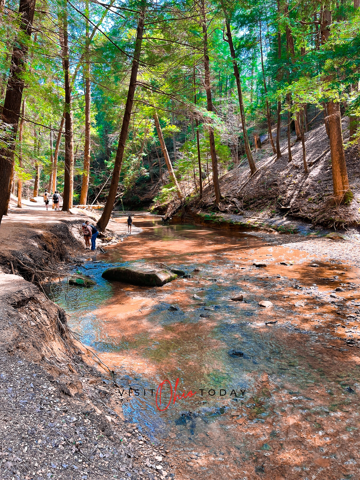 low creek with rocks and tall green trees around it at cedar falls Photo credit: Cindy Gordon of VisitOhioToday.com