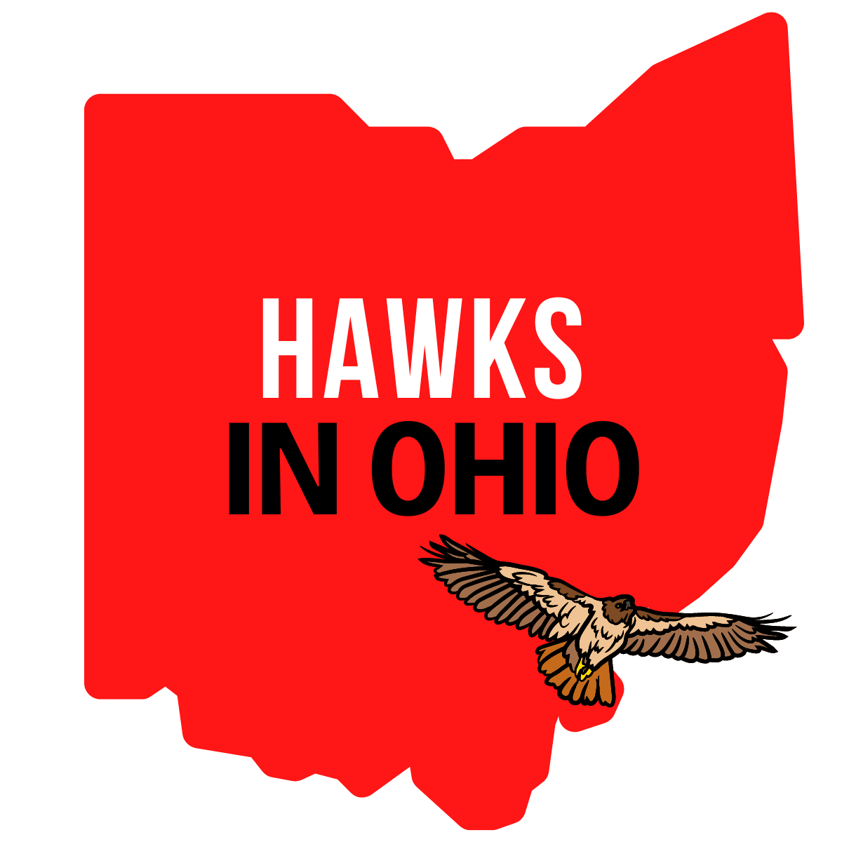 Bobcats In Ohio Visit Ohio Today bobcats-in-ohio-visit-ohio-today