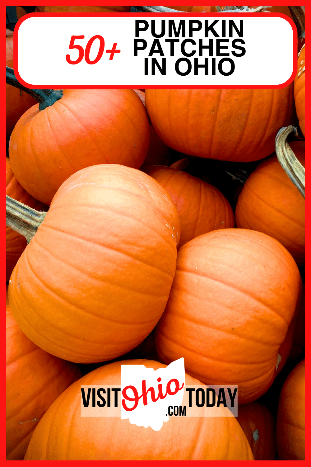 Looking for the perfect pumpkin patch near you to visit this weekend in Ohio? We've got you covered with the best pumpkin patches in Ohio! | Pumpkin Patches In Ohio | Ohio Adventures | Ohio Pumpkins | Ohio Pumpkin Patches