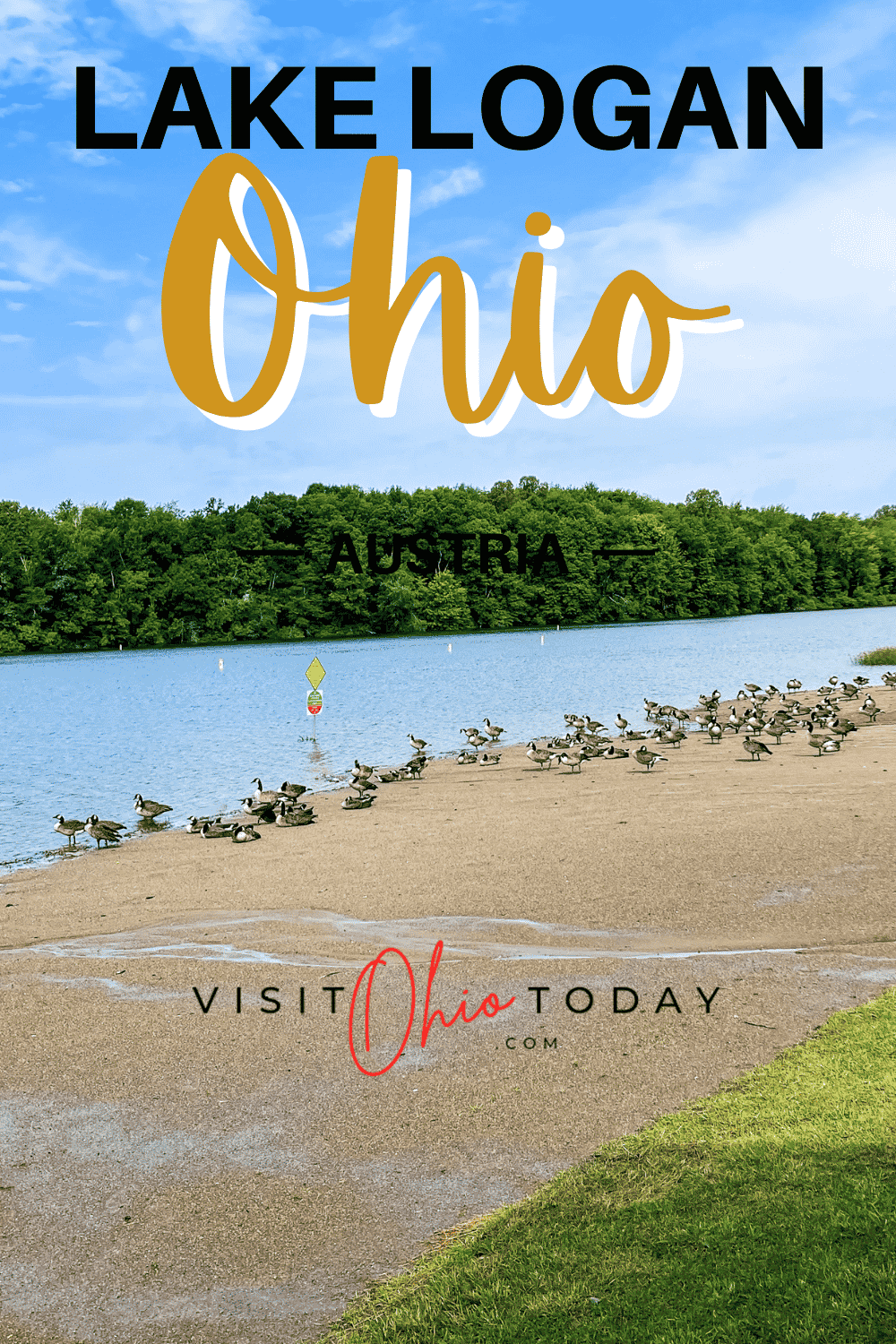 geese on beach at lake logan with text overlay that says lake logan ohio