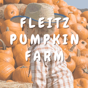 A young child looking at a stack of pumpkins. Text overlay says Fleitz pumpkin farm