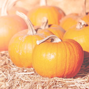 Close up photo of pumpkins