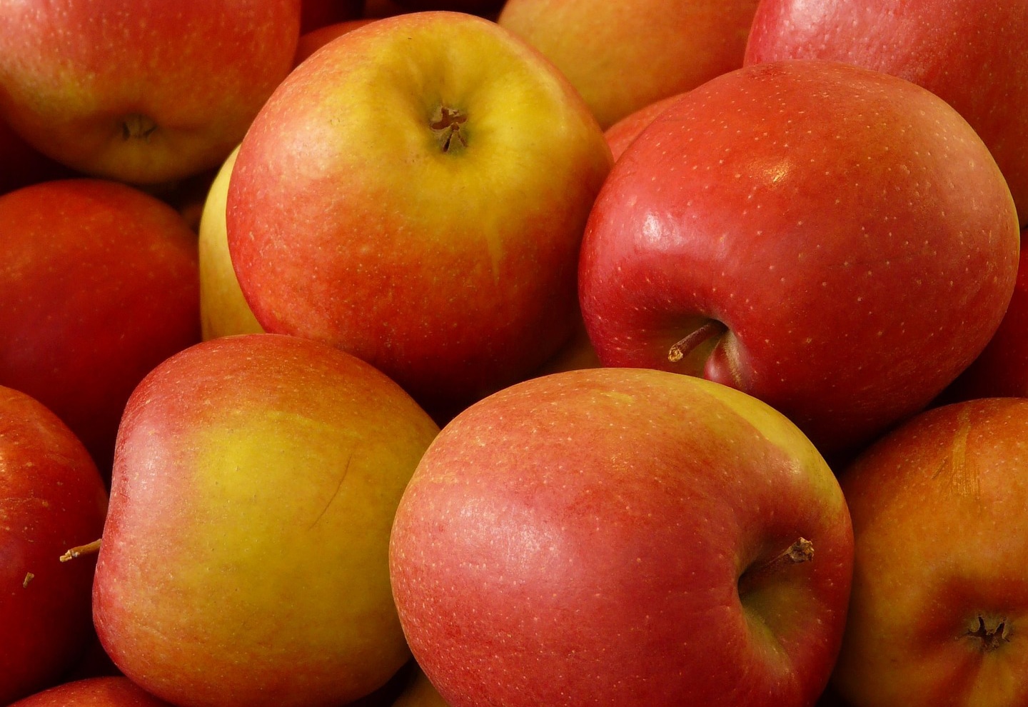 horizontal photo of a pile of red apples. Image via Pixabay