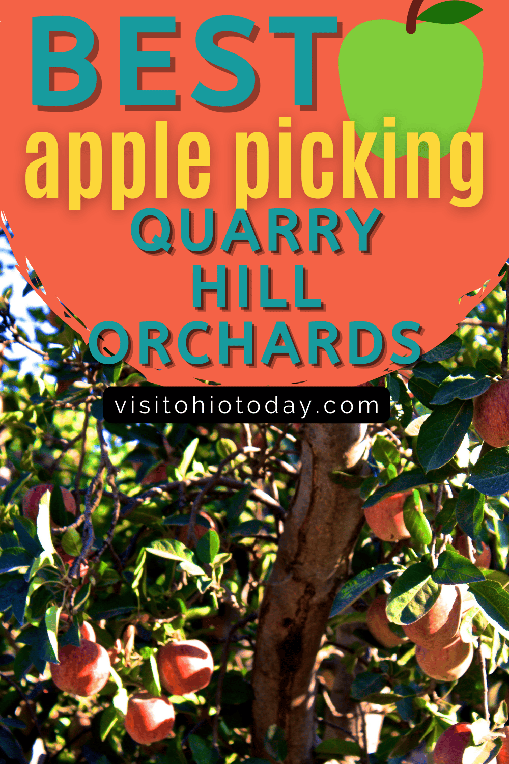 Text overlay saying best apple picking quarry hill orchards. Underneath is an image of an apple tree