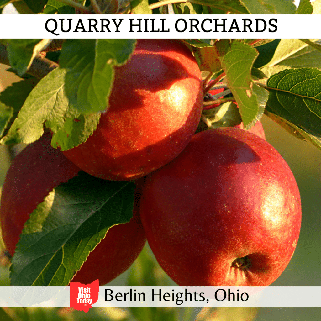 Bauman Orchards - Visit Ohio Today