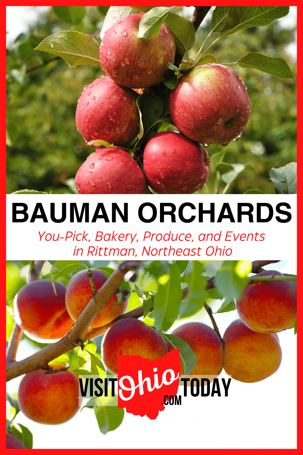 Bauman Orchards is based in Rittman, Ohio. Whether it is picking your own fruit or coming along to take part in an event, there is something for everyone. If you would like to know more, then please read on. | Bauman Orchards | Ohio Orchards | Wayne County Ohio