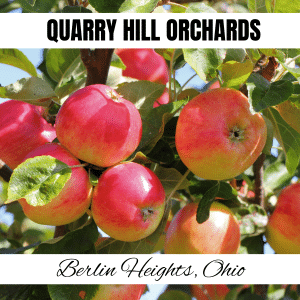 square image with a photo of apples on a tree. A white strip at the top has the text Quarry Hill Orchards, and a white strip at the bottom has the text Berlin Heights, Ohio. Image via Canva pro license