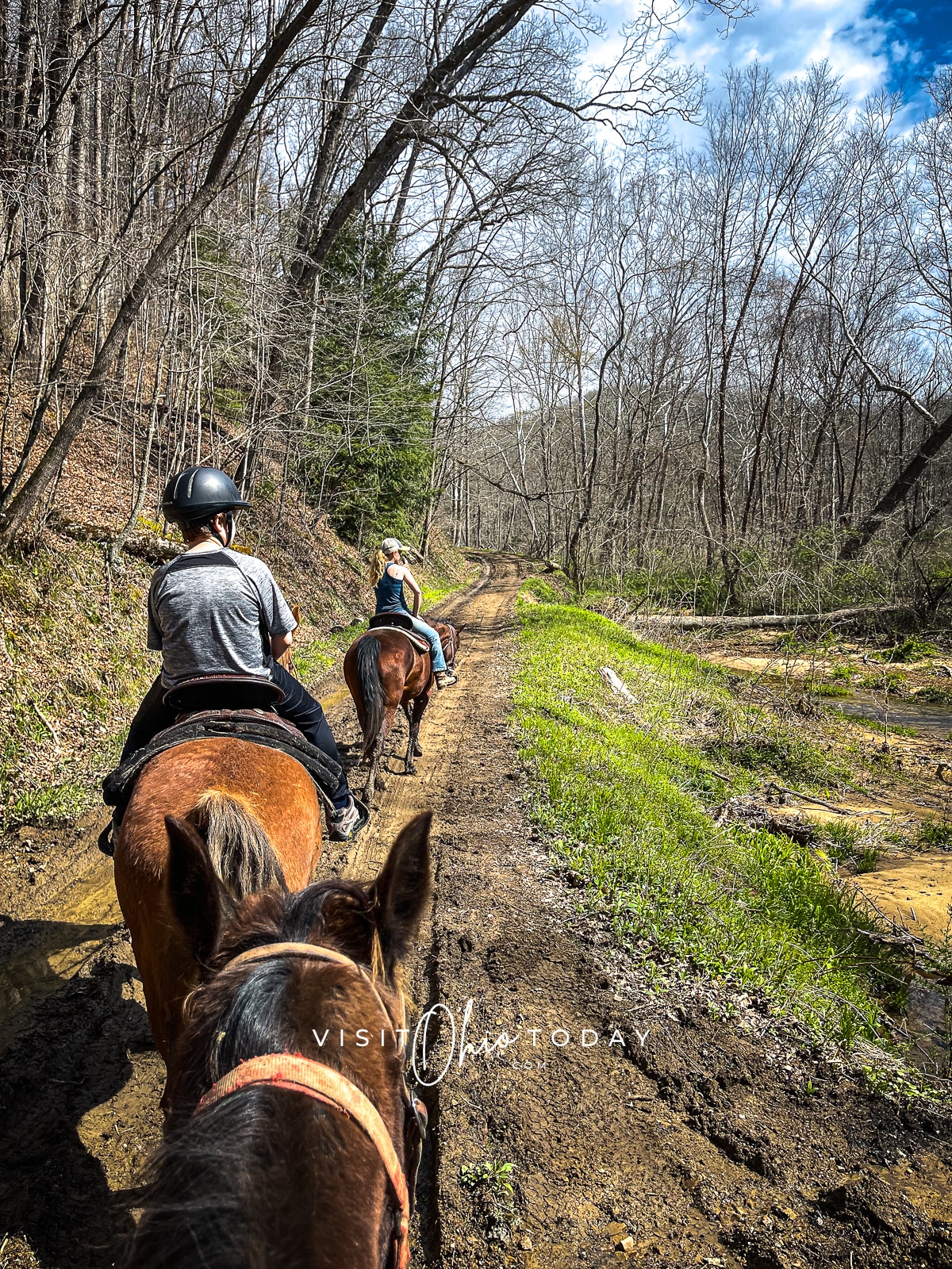 male with grey shirt and black helmet on a brown horse in the woods Photo credit: Cindy Gordon of VisitOhioToday.com