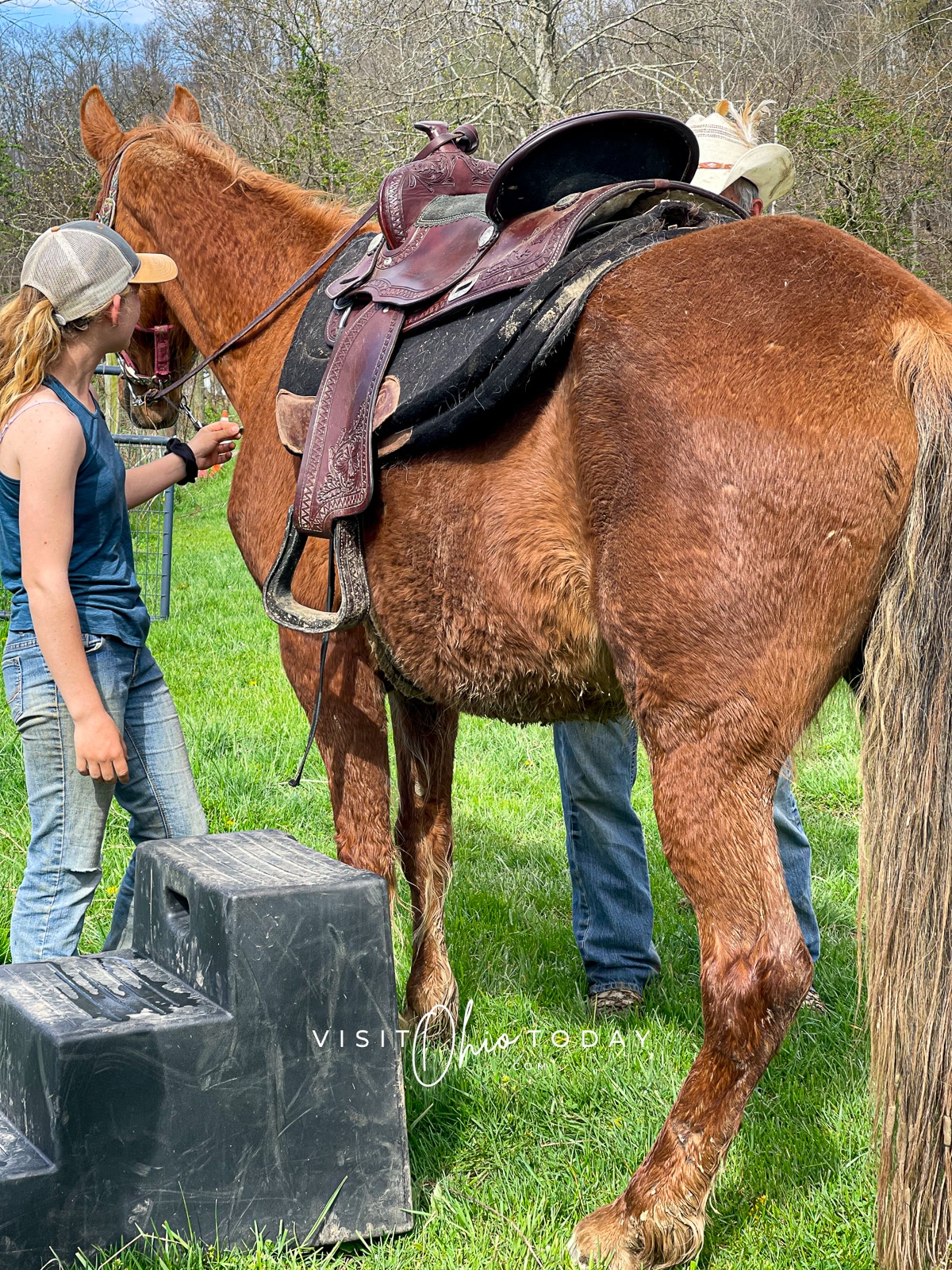 lady standing next to a furry brown horse