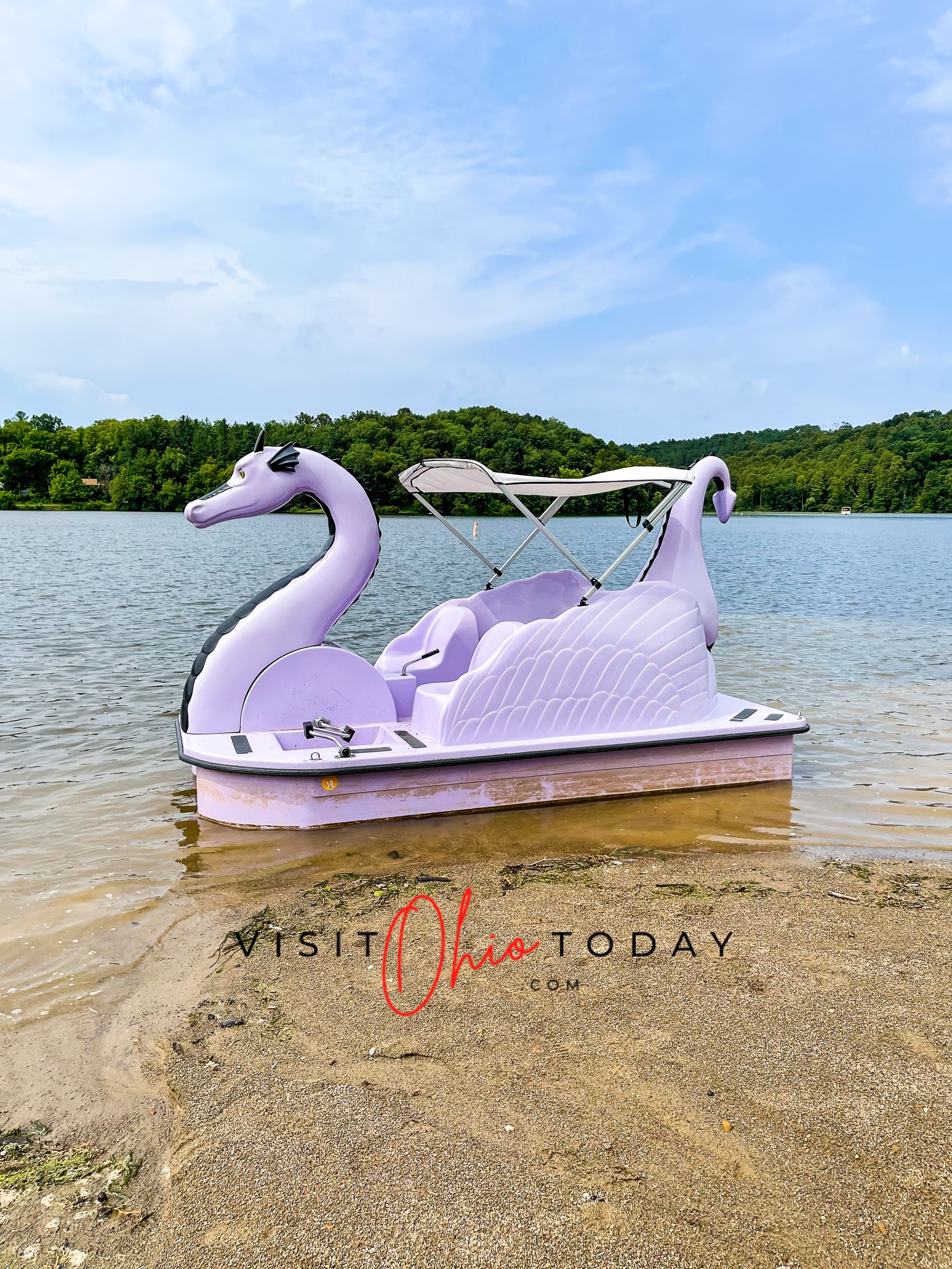 purple dragon pedal boat at lake logan marina