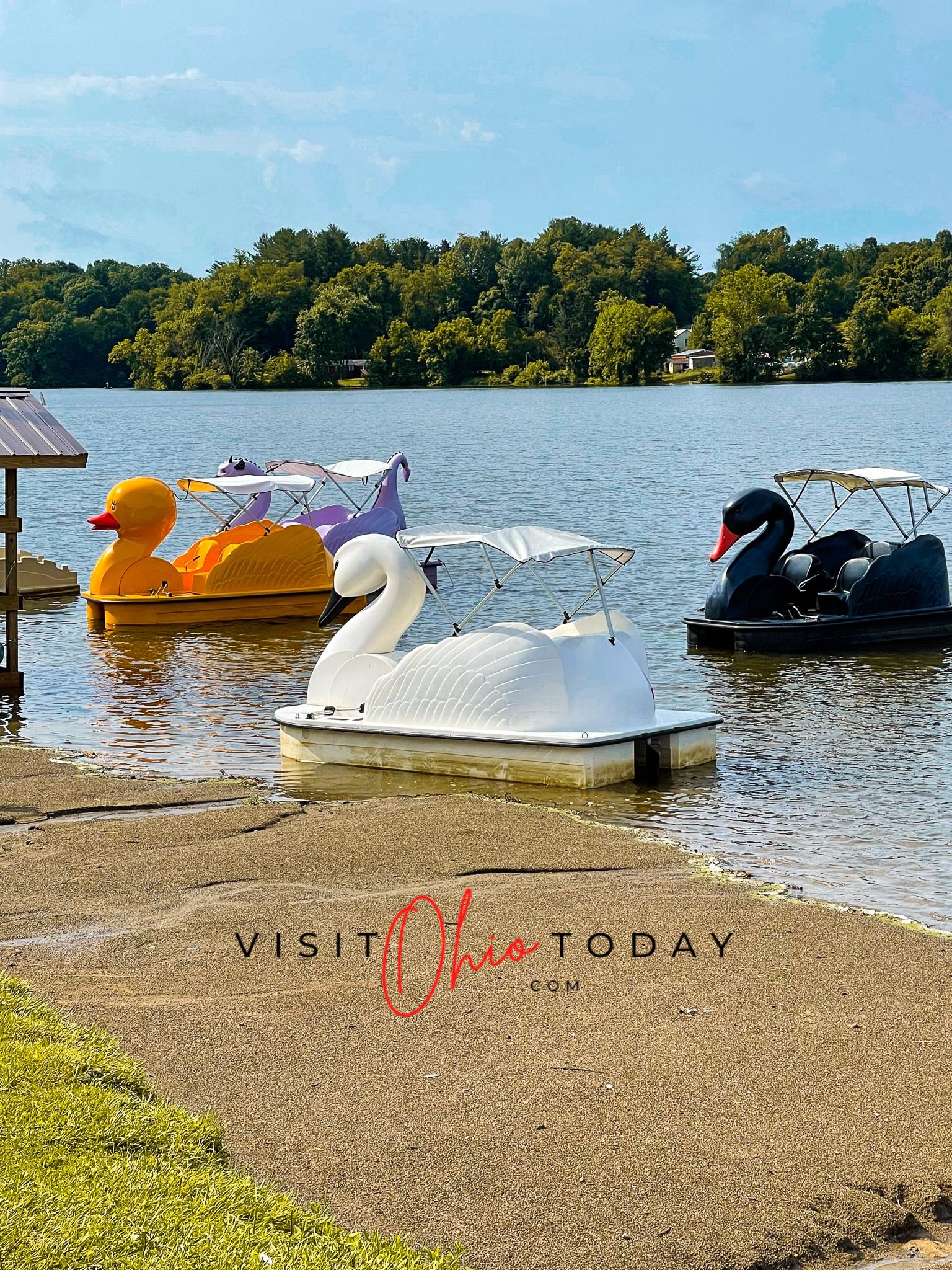 yellow duck, purple dragon, white swam and black swan pedal boat on water Photo credit: Cindy Gordon of VisitOhioToday.com