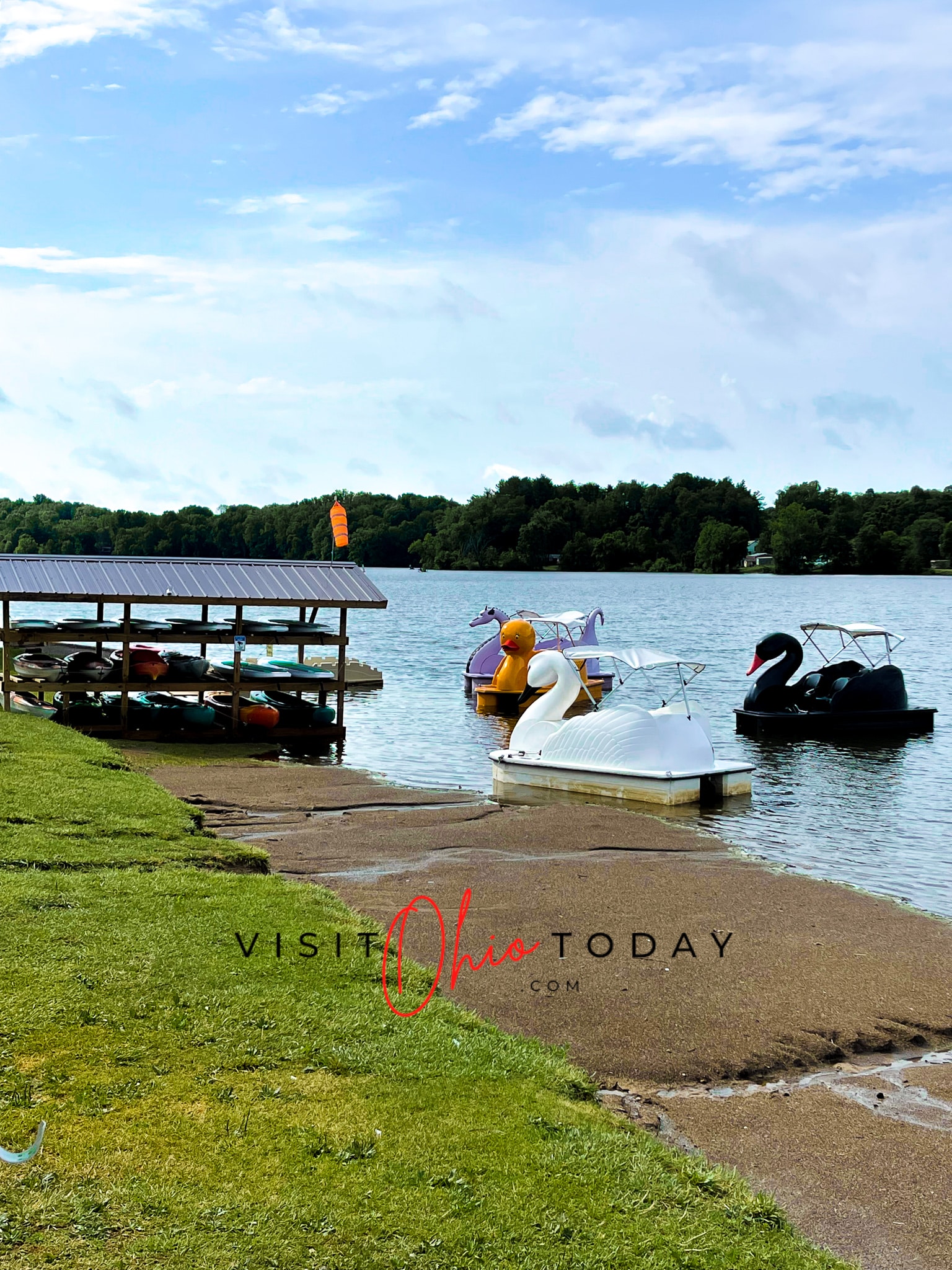 yellow duck, purple dragon, white swam and black swan pedal boat on water Photo credit: Cindy Gordon of VisitOhioToday.com