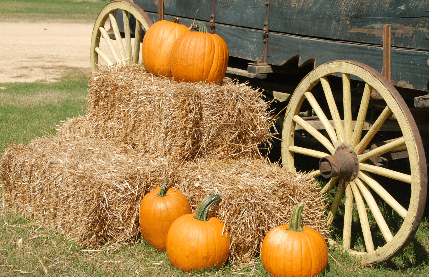 horizontal photo of some hay bales in front of a wagon with some orange pumpkins on and around the hay