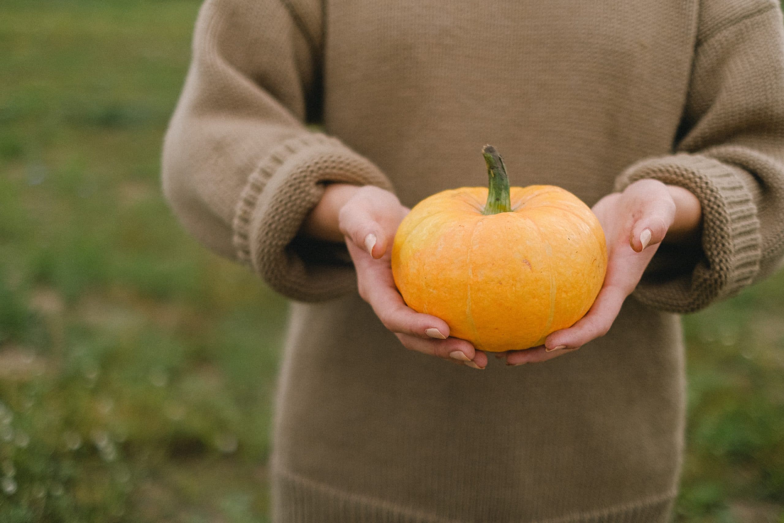 lady in brown shirt holding a orangepupmkin in her palms with a green stem