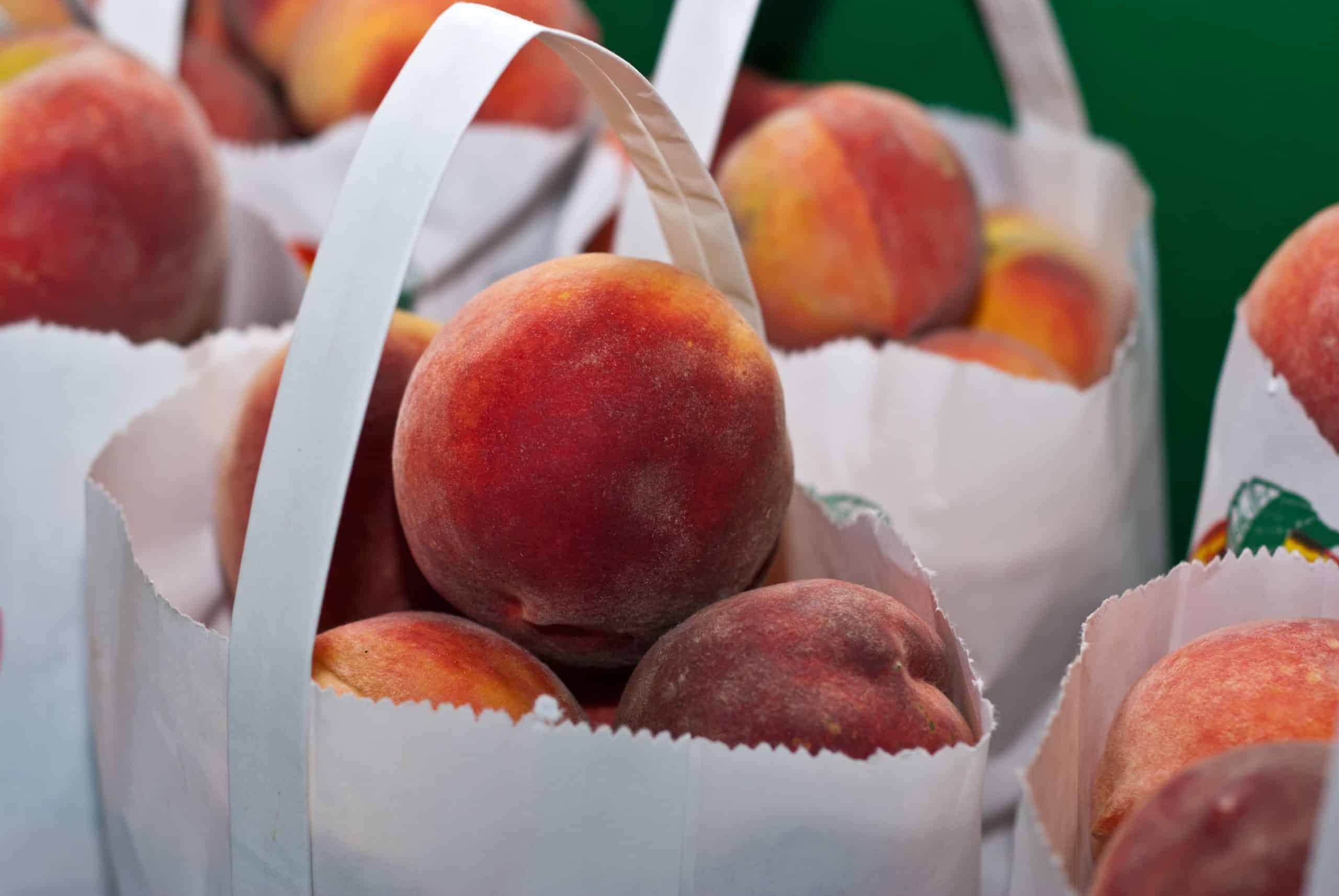 close up of white bags filled with orange peaches