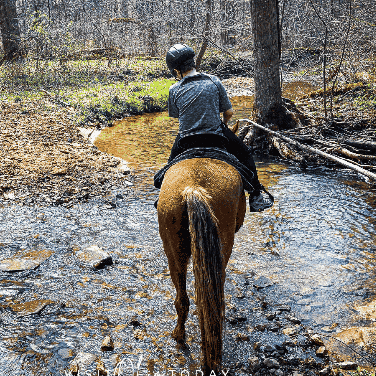 Horseback Riding Hocking Hills - Visit Ohio Today