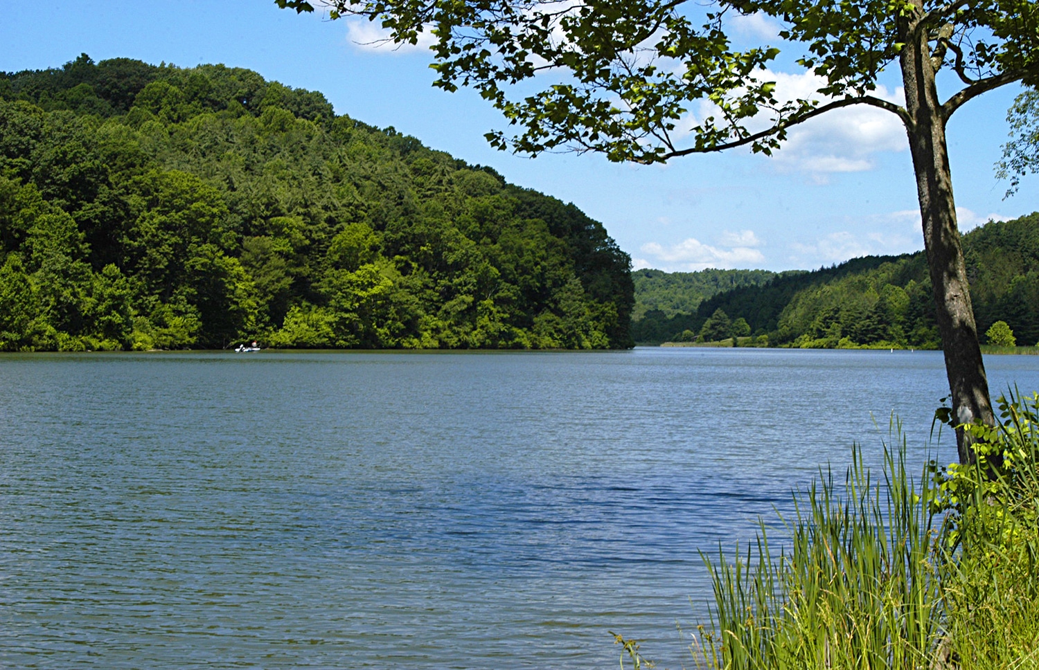 horizontal photo of the lake at Strouds Run State Park in Athens Ohio