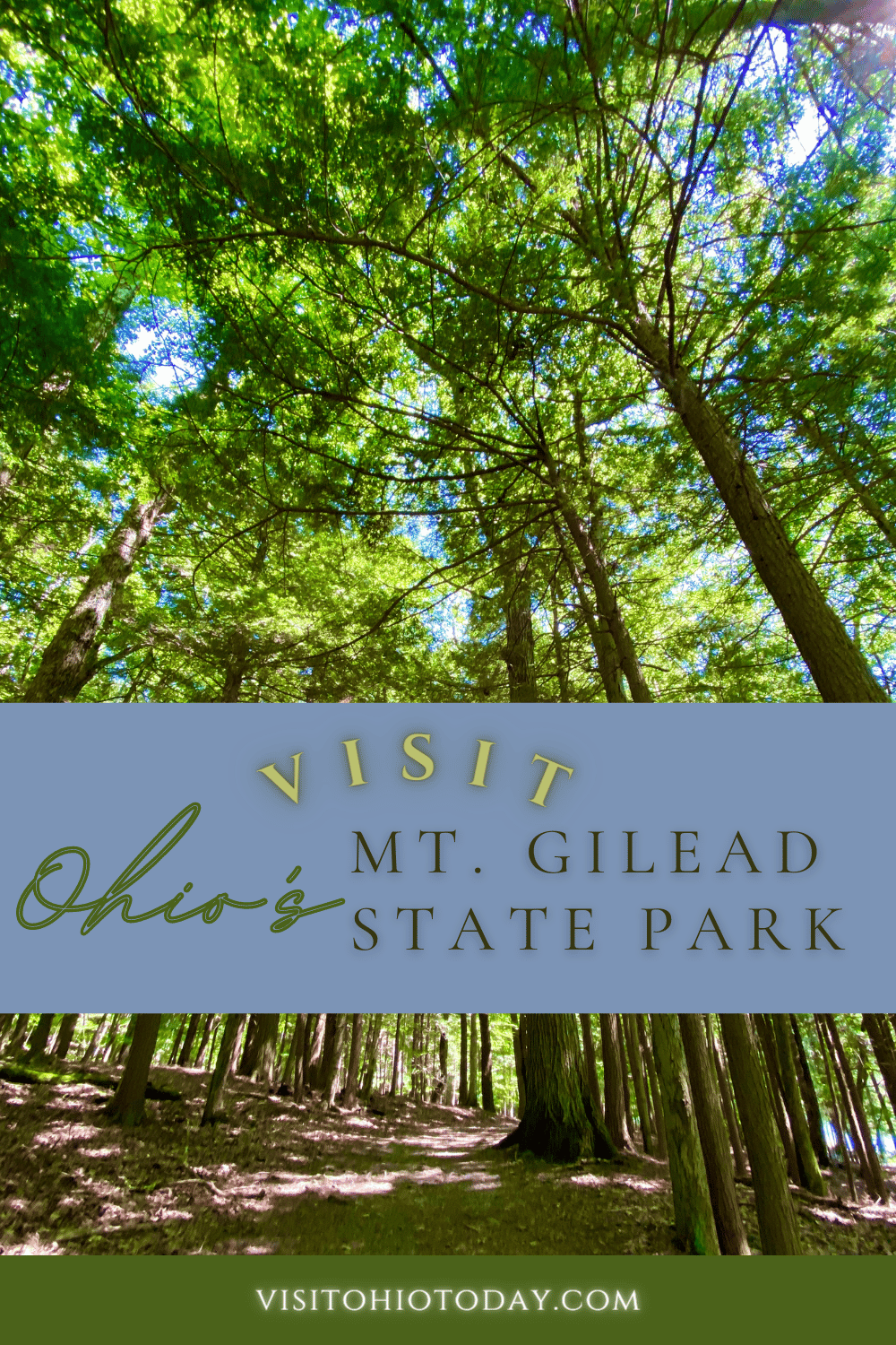 Vertical photo of trees. Text overlay says visit Ohio's mt. gilead state park