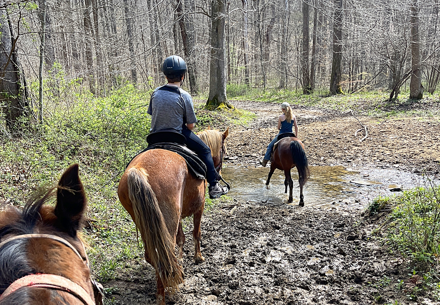 horizontal photo of a guided horseback ride in Hocking Hills. Photo credit: Cindy Gordon of VisitOhioToday.com